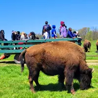 Adventure Trek at Wildlife Prairie Park