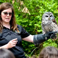 Bring the Wild to You with Wildlife Prairie Park