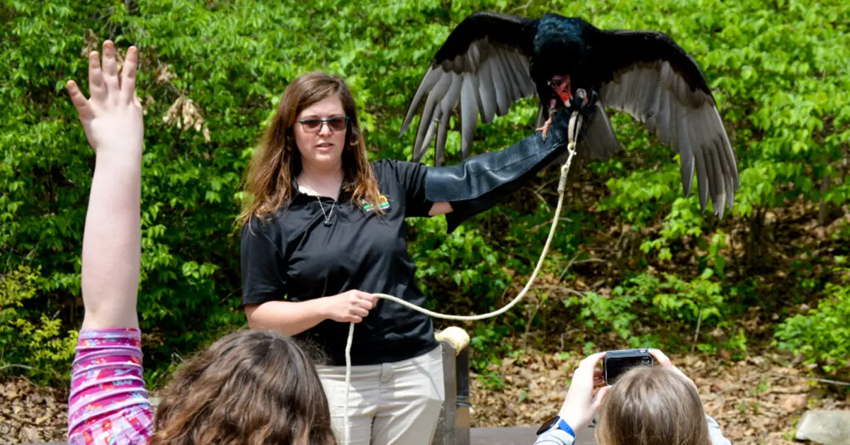 Educational Field Trips at Wildlife Prairie Park