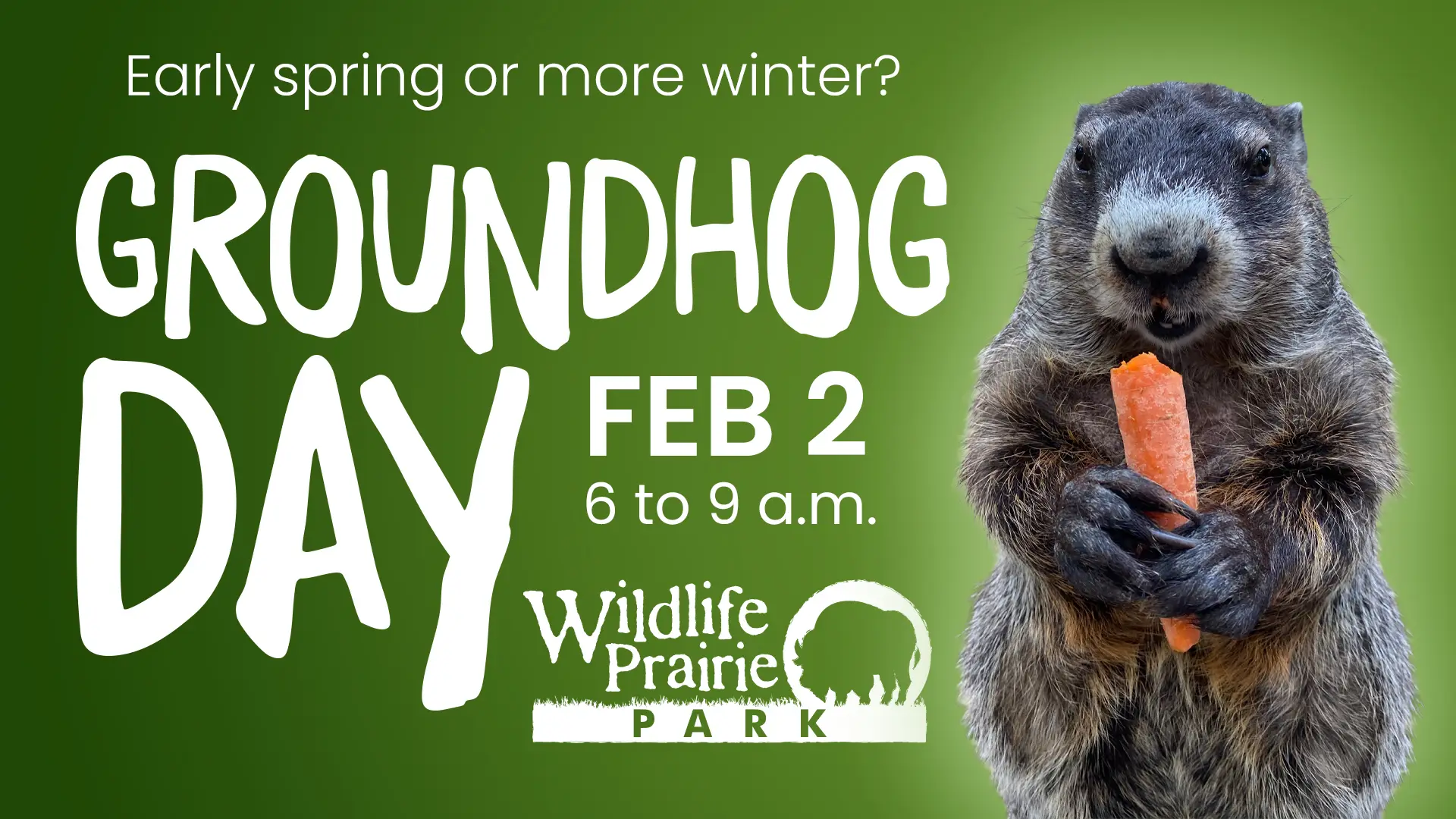 Groundhog Day at Wildlife Prairie Park