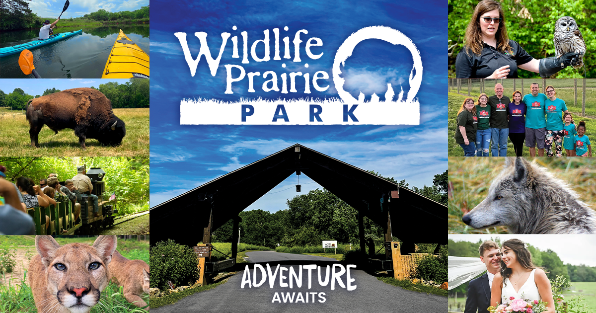 Plan Your Adventure - Wildlife Prairie Park