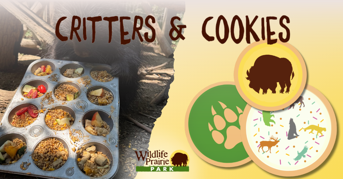 Critters & Cookies Pet Pinata
