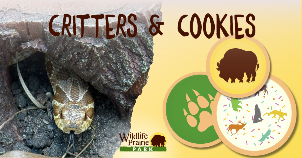 Critters & Cookies Don't Eat Me, I'm Dead!