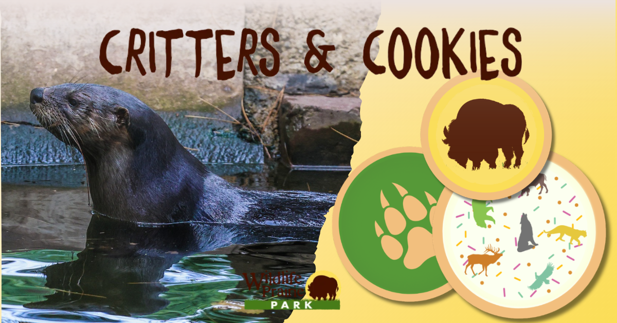Critters & Cookies You Rock my World!