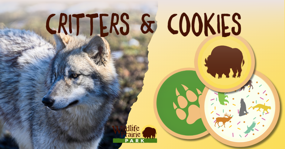 Critters & Cookies Howl about that