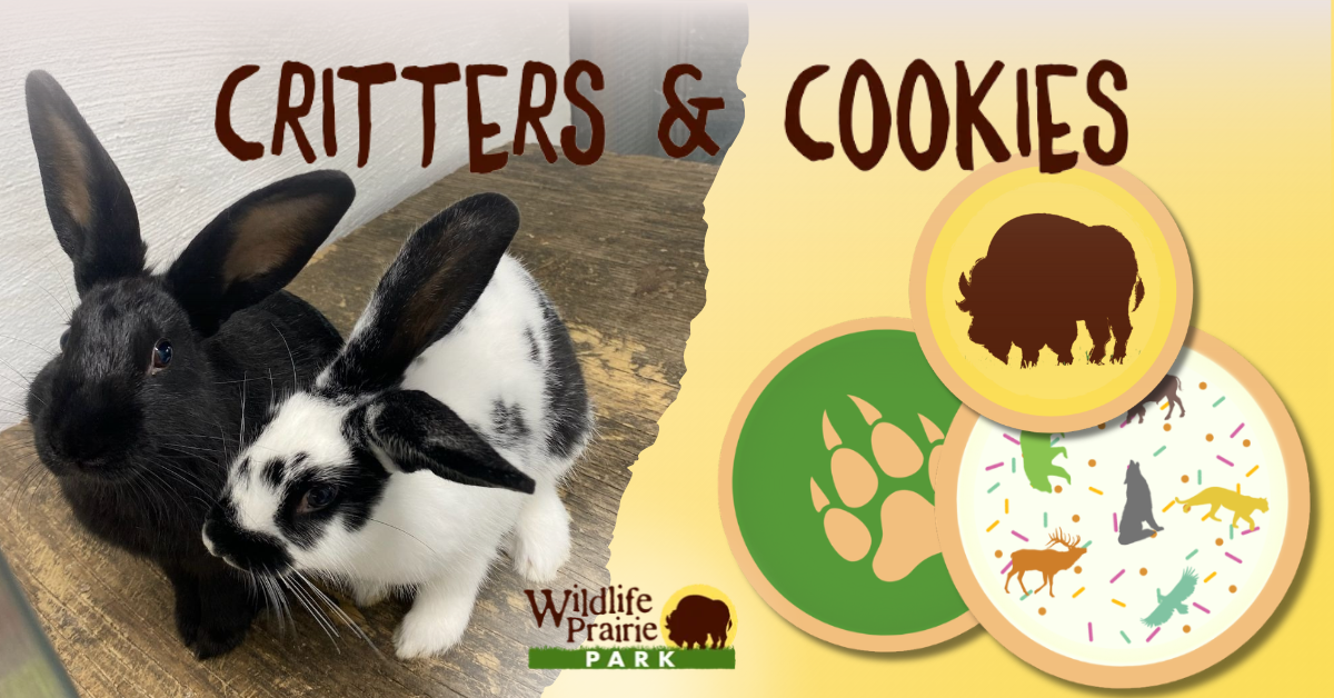 Critters & Cookies Hop into Spring