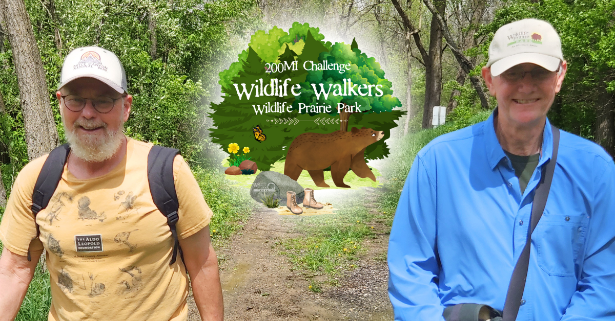 Wildlife-Walkers-Group-Hike-Website-Graphic-1