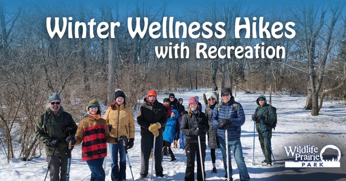 Winter Wellness Hikes 2024 for website