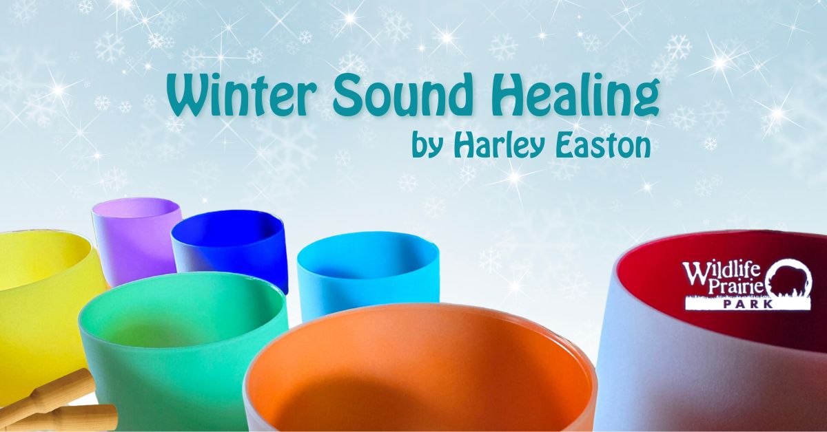 Winter Sound Healing