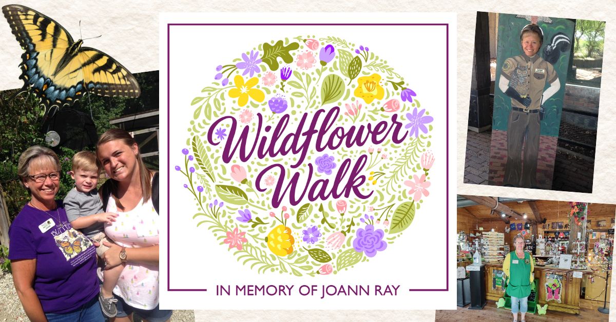 JoAnn Memorial Walk Event