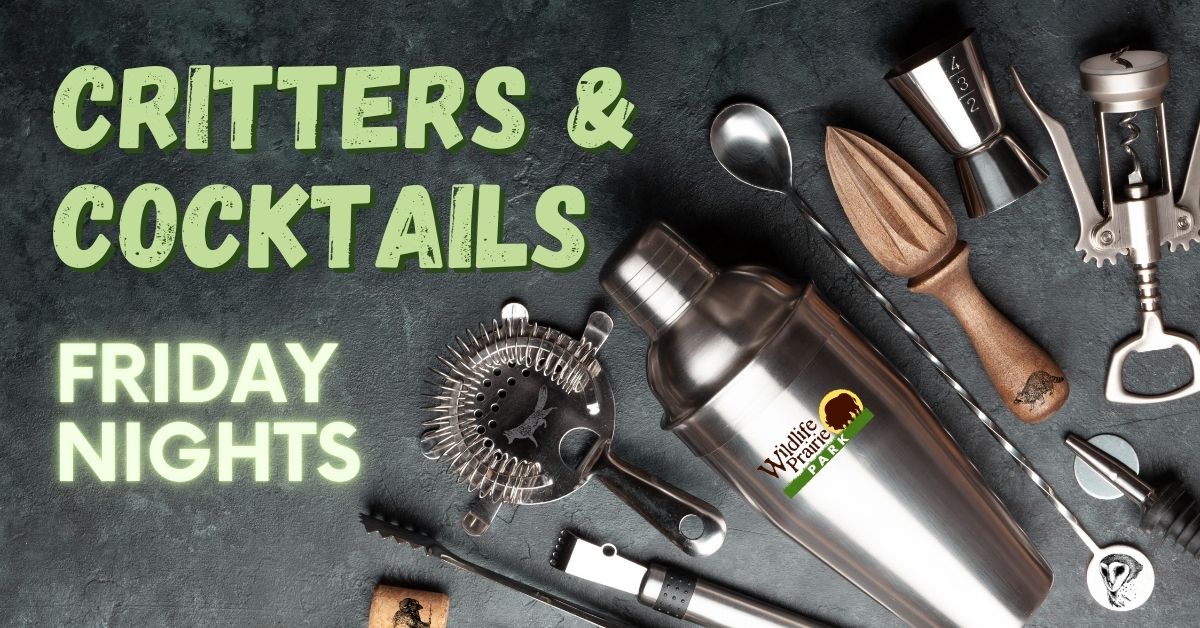 Critters & Cocktails Web Graphic - Final
