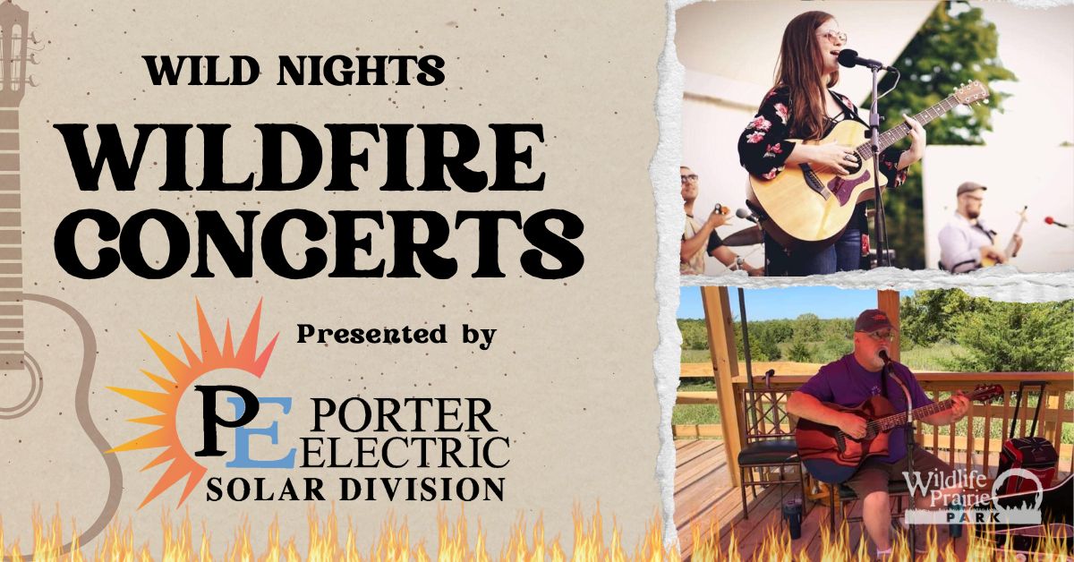 Wildfire Concert 2025 - James Herr & the Underground