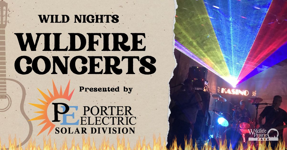 Wildfire Concert 2025 - Kasino