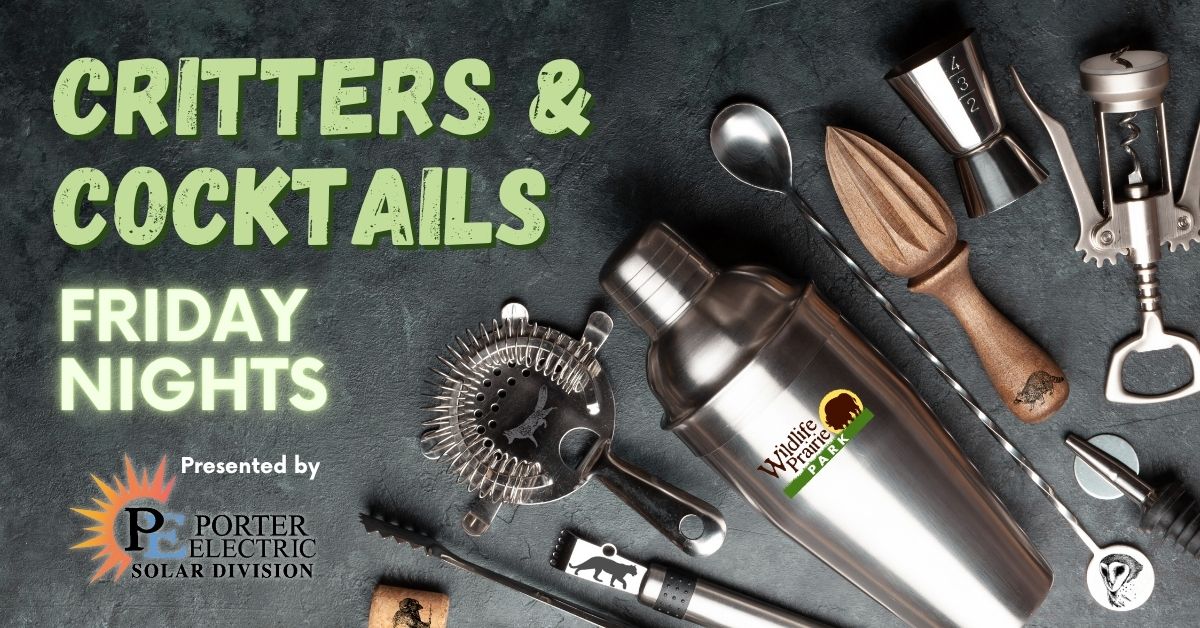 Critters & Cocktails with Porter Electric Web Graphic - Final