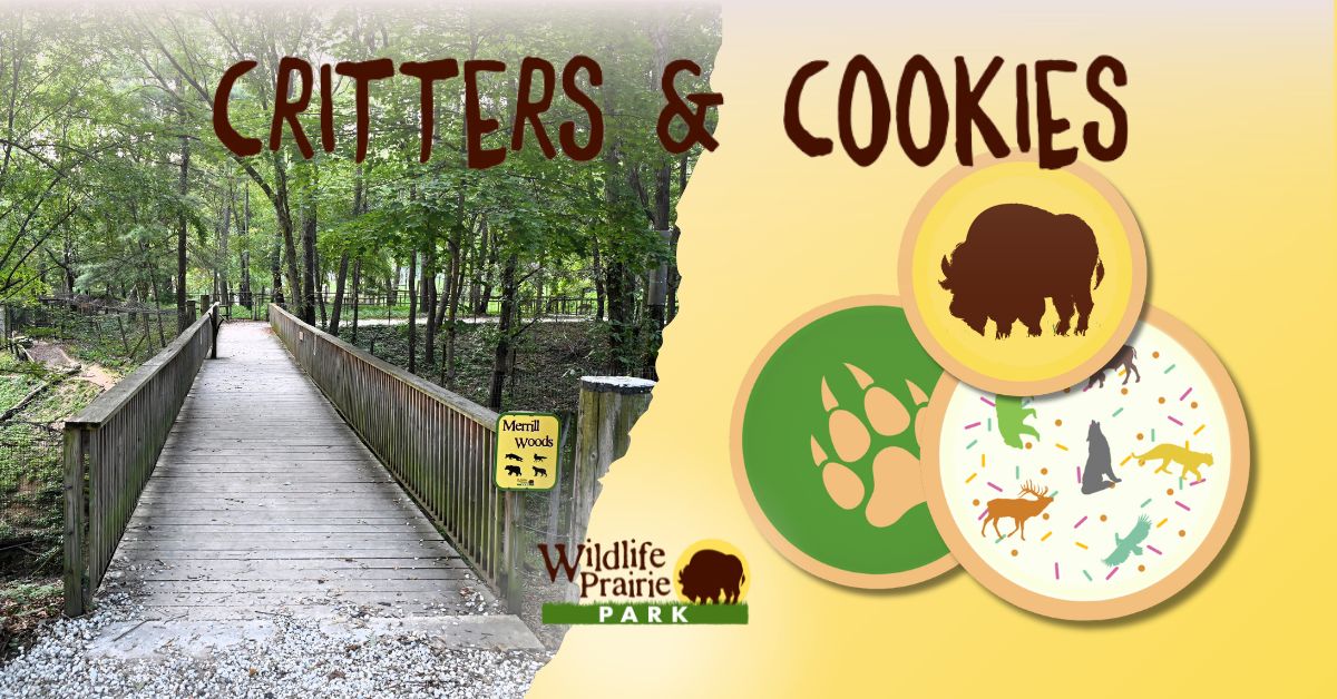 Critters & Cookies Hitting the Trails, Looking for Tails