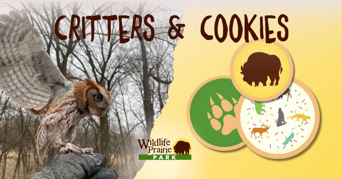 Critters & Cookies Feathered Friends