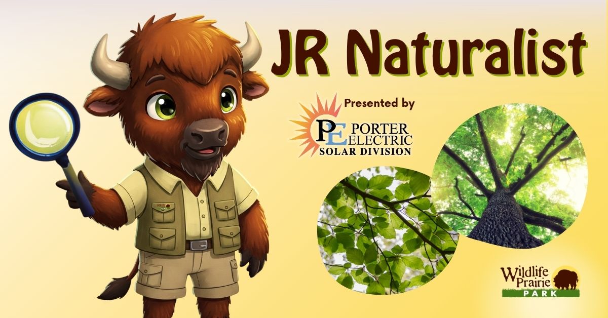 Jr Naturalist - Name that Tree