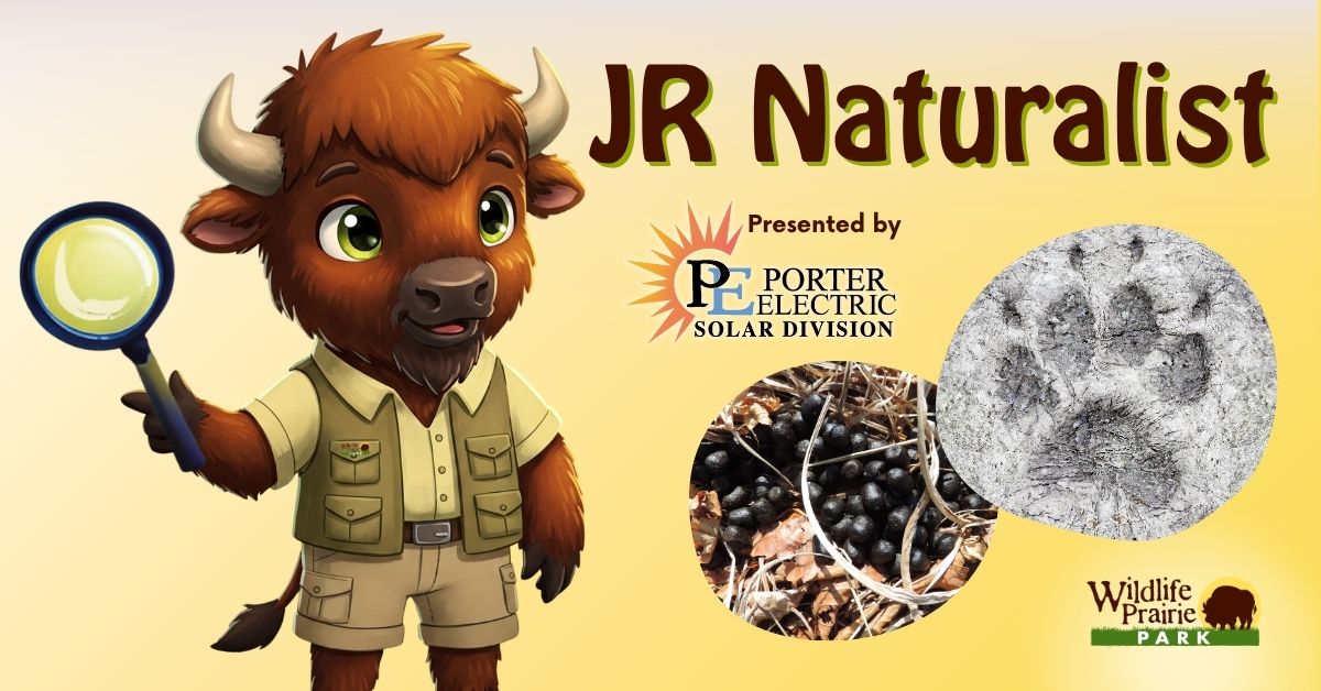 Jr Naturalist - Mammal Tracking