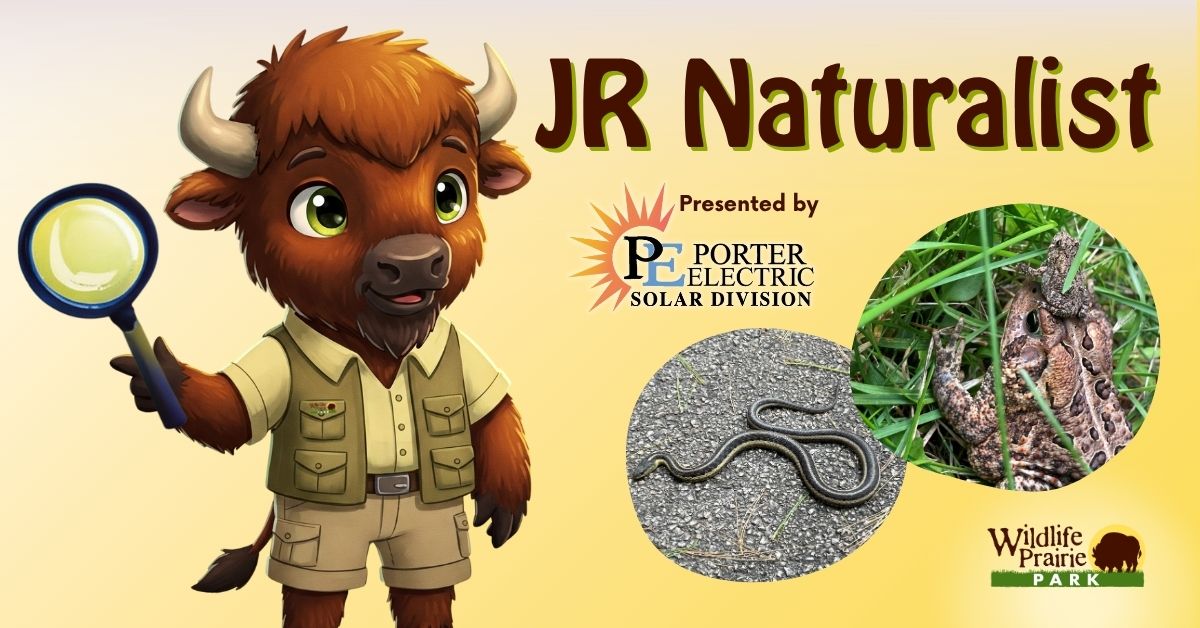 Jr Naturalist - Herpetology