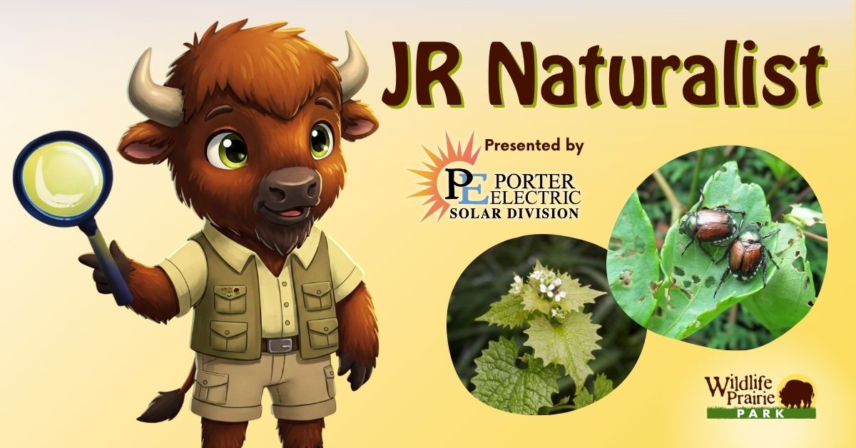 Jr Naturalist - Invasive Species Spotlight