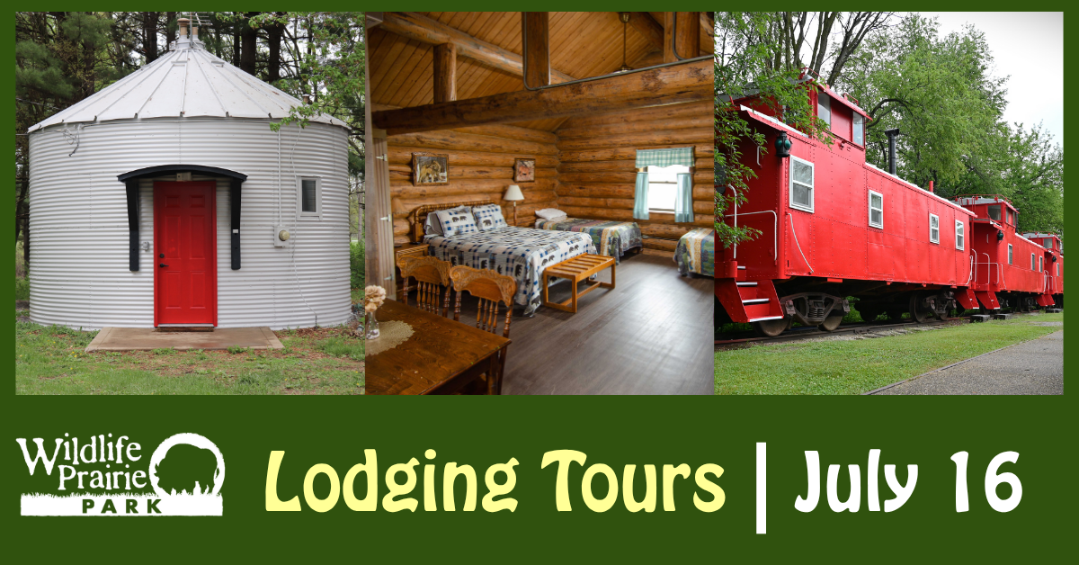 WPP Lodging Tours