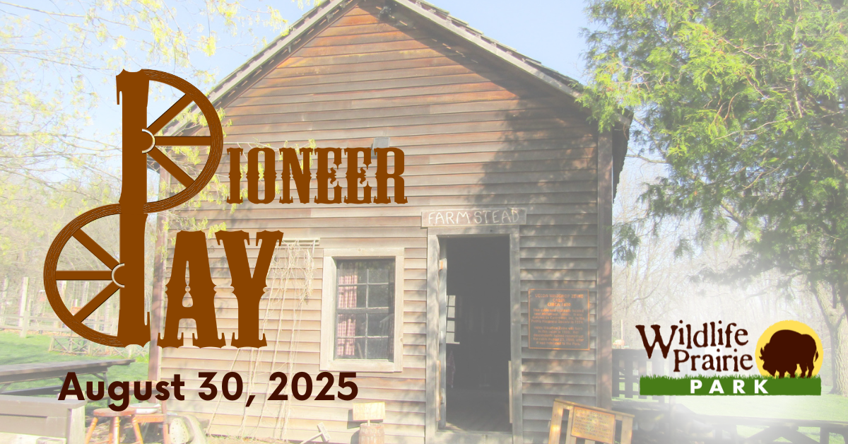 Pioneer Day Event Graphic for Board Meeting 2025