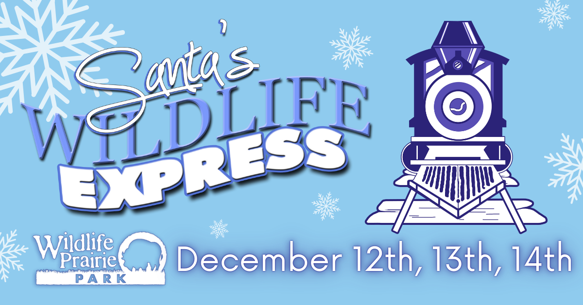 Santa's Wildlife Express 2023 Web Graphic