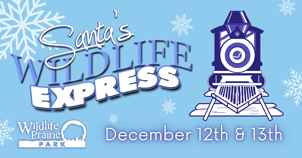 Santa's Wildlife Express 2023 Web Graphic