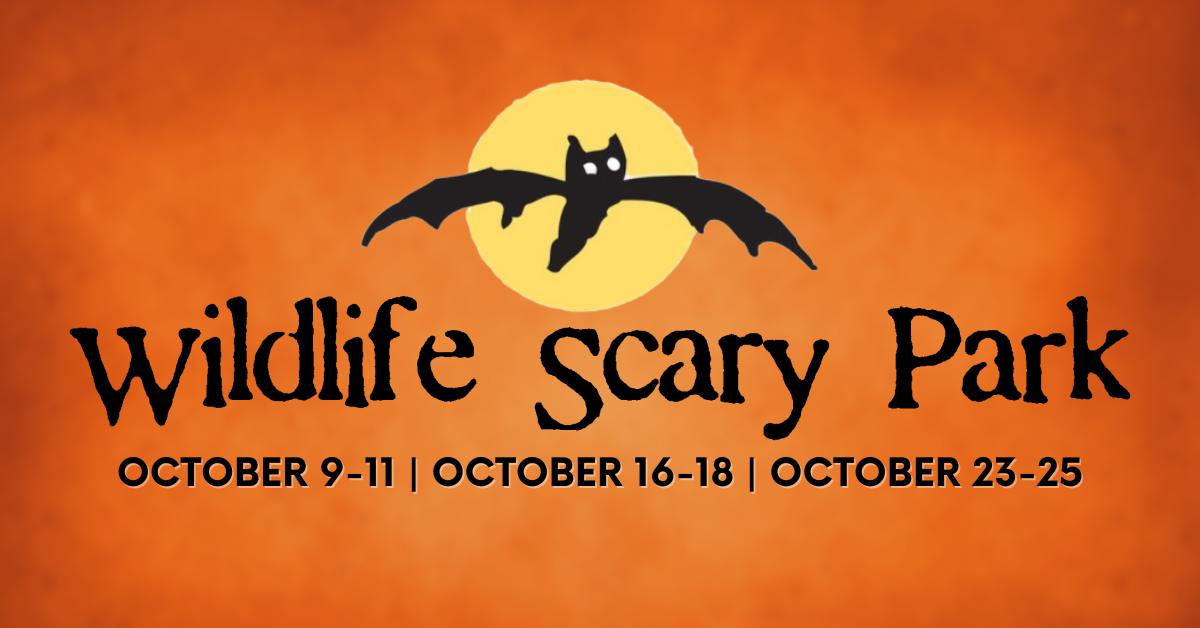 Wildlife Scary Park 2025 
