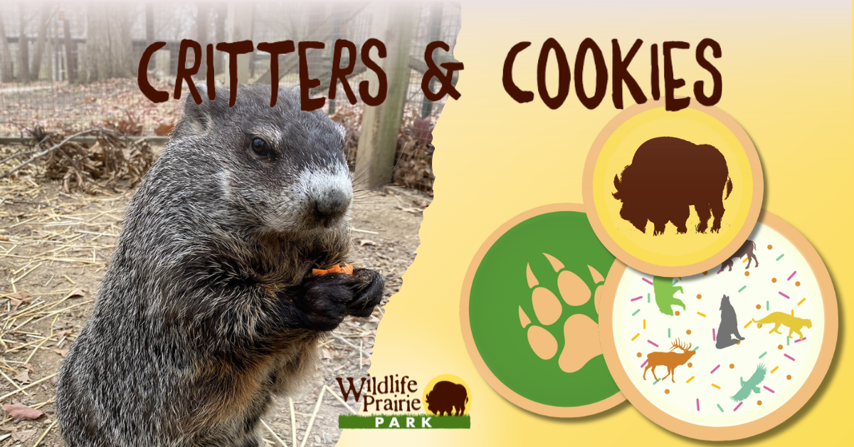 Critters & Cookies Our Underground Meteorologists