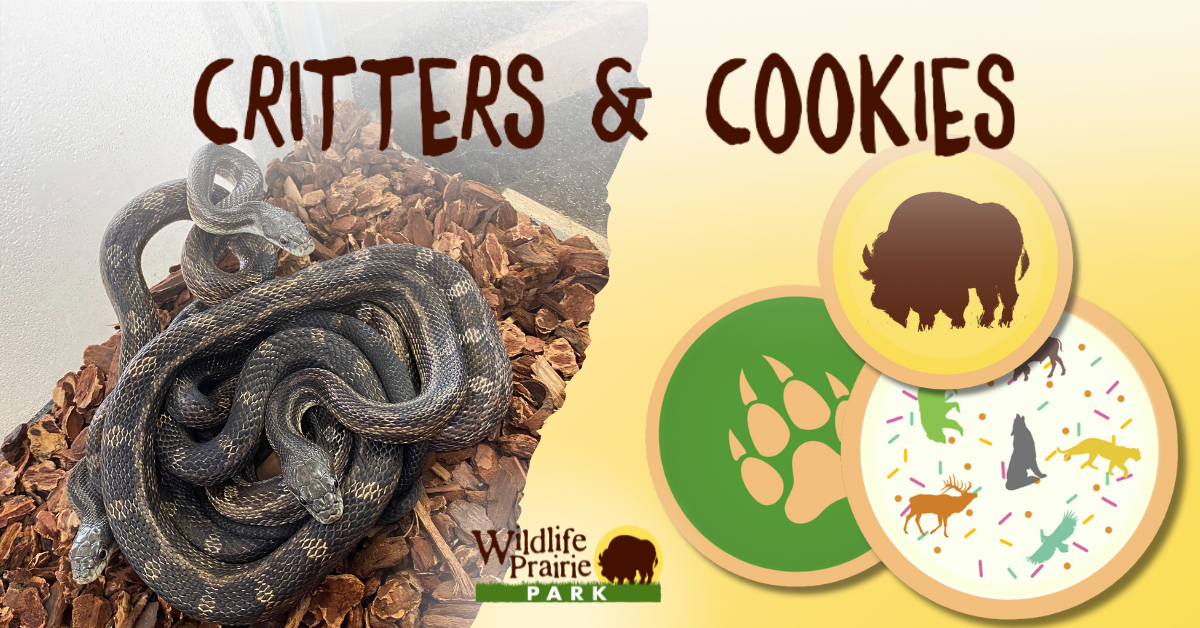 Critters & Cookies We All Need Trees