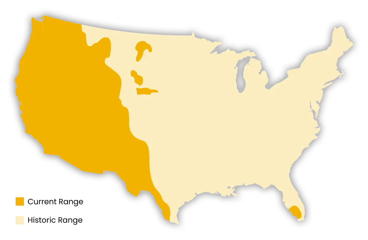 Habitat Map