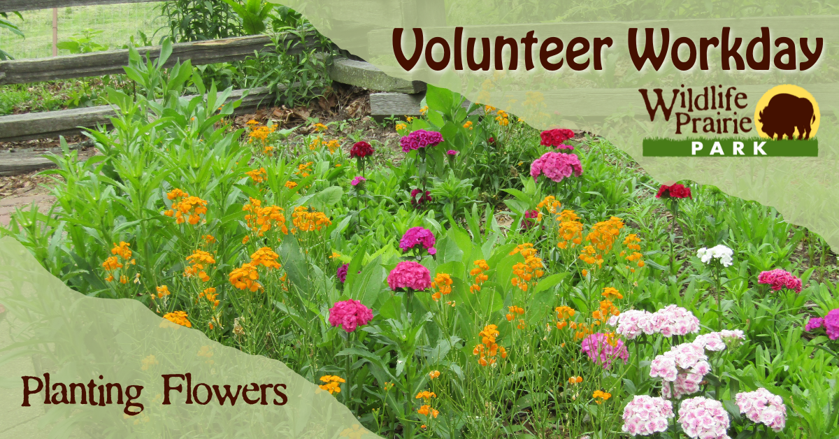 Volunteer Workday - Train Depot