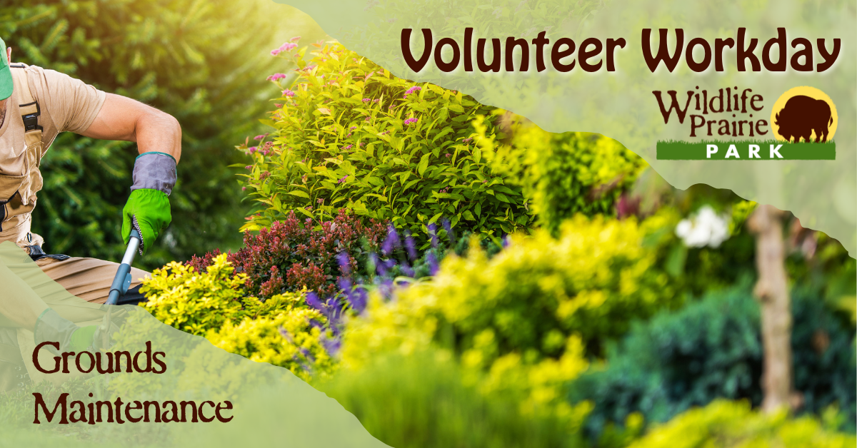 Volunteer Workday - Train Depot (1)