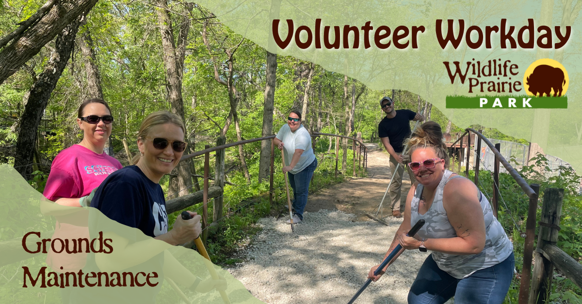 Volunteer Workday - Train Depot (2)