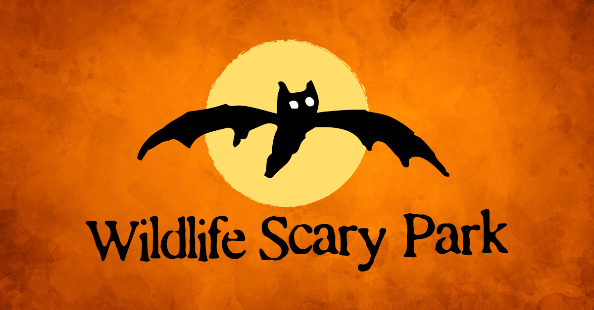 WildlifeScaryPark