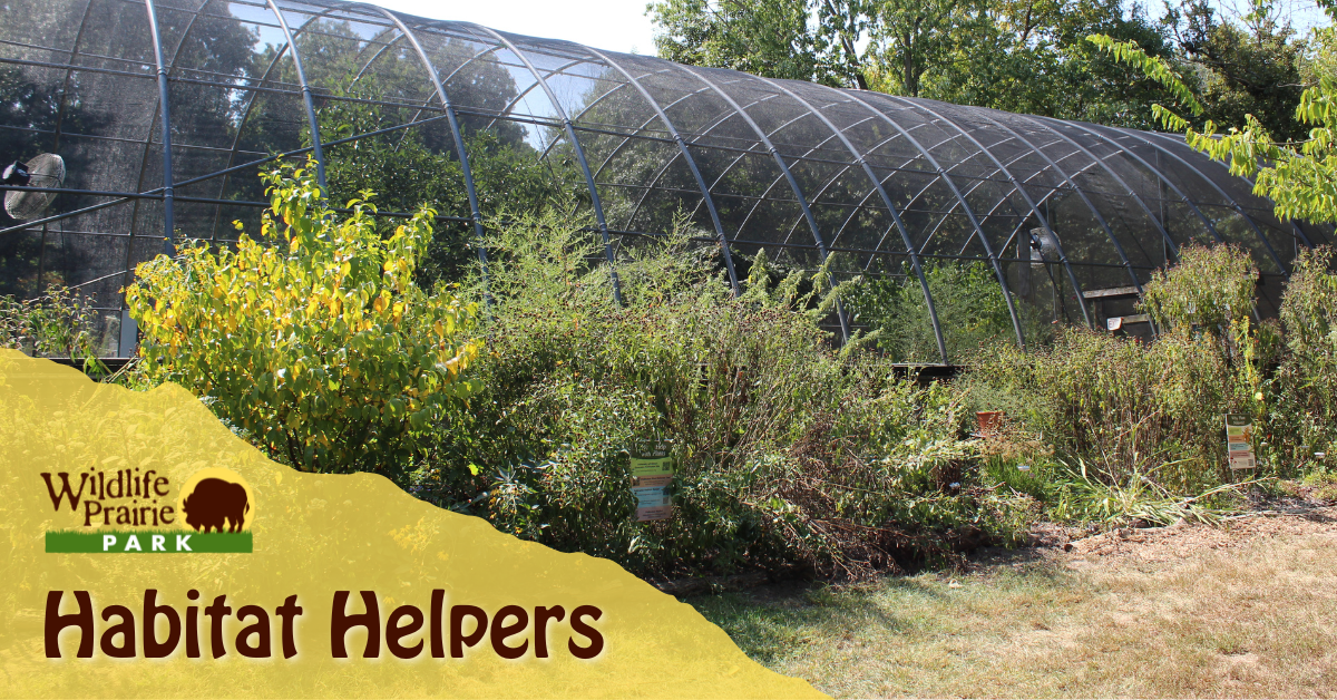 Volunteer Workday - Train Depot (2)