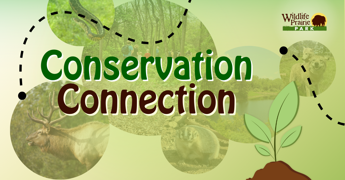 Final Conservation Connection Web Graphic