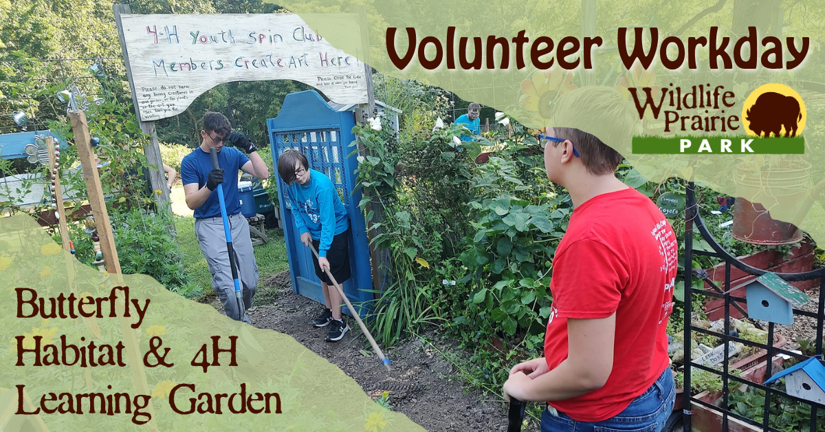 Volunteer Workday - Train Depot