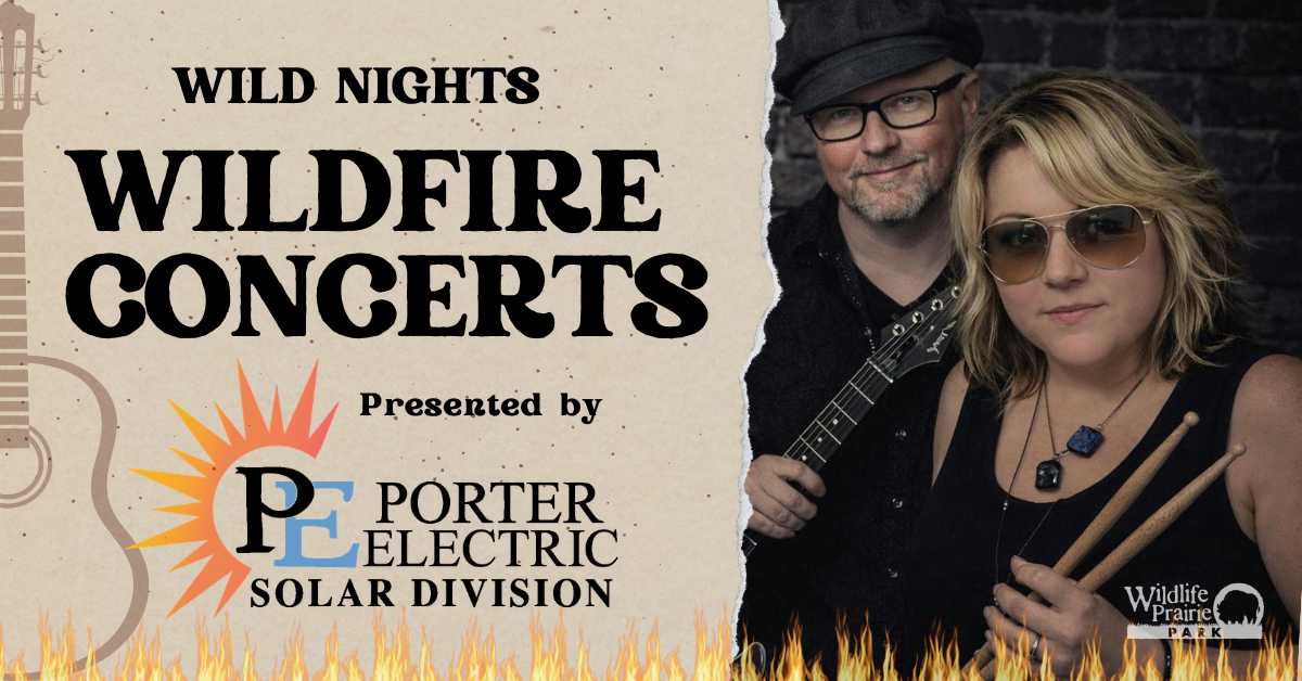 Wildfire Concert 2026 - Black Velvet