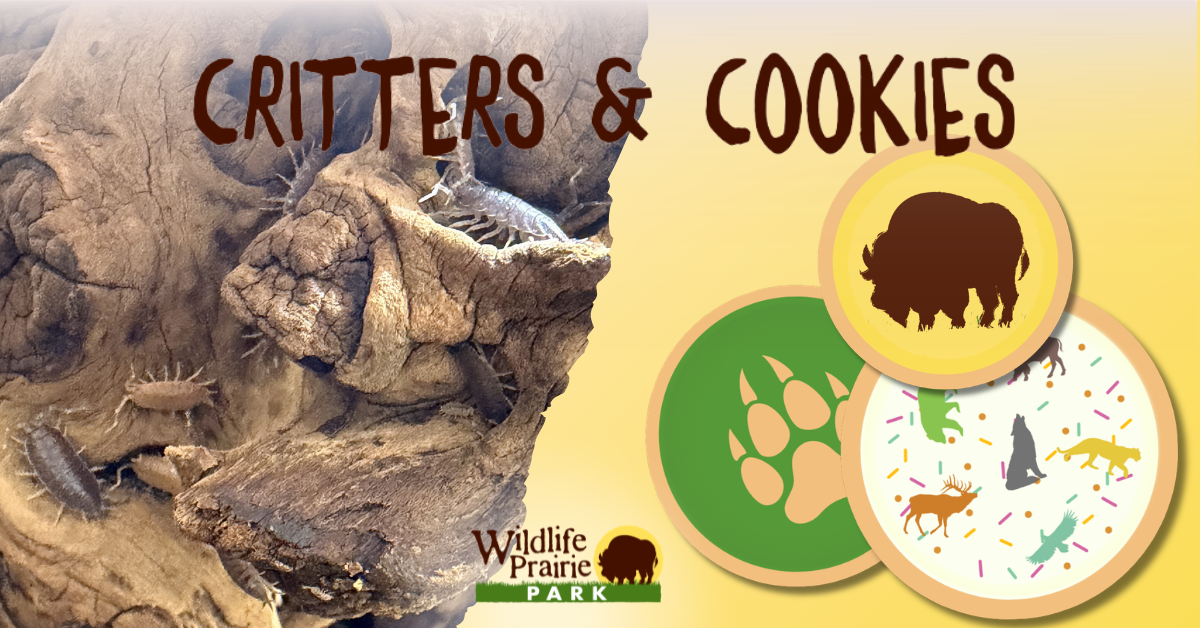 Critters & Cookies Don't Bug Me June 