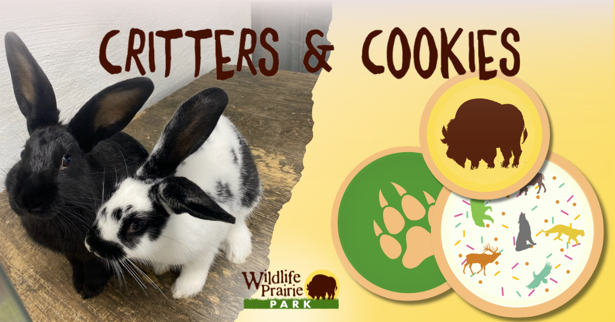 Critters & Cookies Don’t Worry, Be Hoppy
