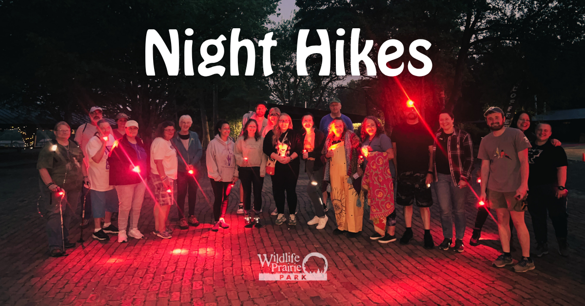 Night Hikes with NO Porter Electric Event Graphic 2026