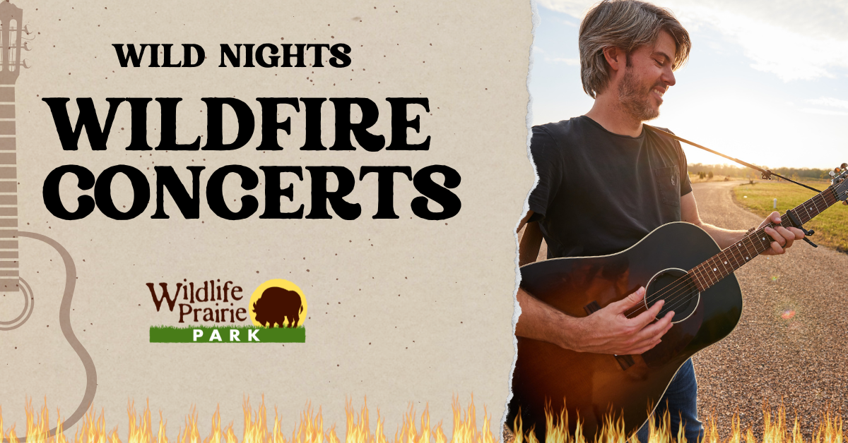 Wildfire Concert 2025 - Dan Hubbard (1)