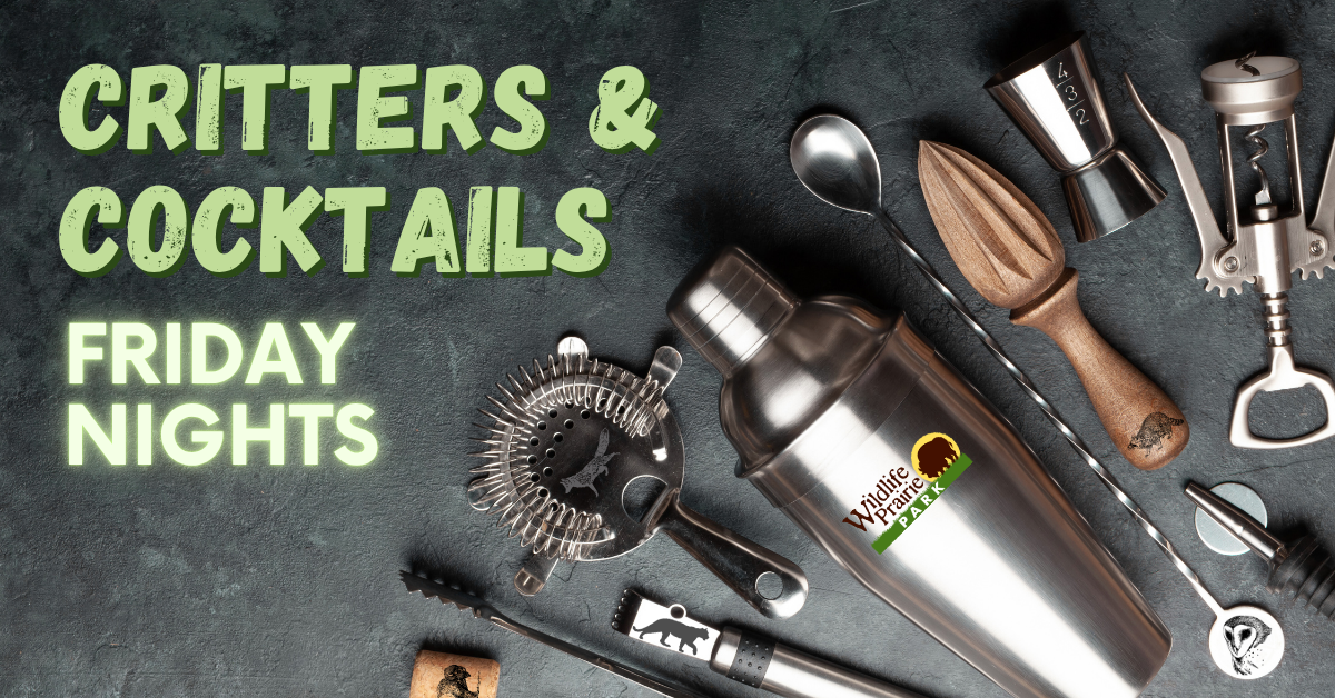 Critters & Cocktails NO Porter Electric Web Graphic - Final