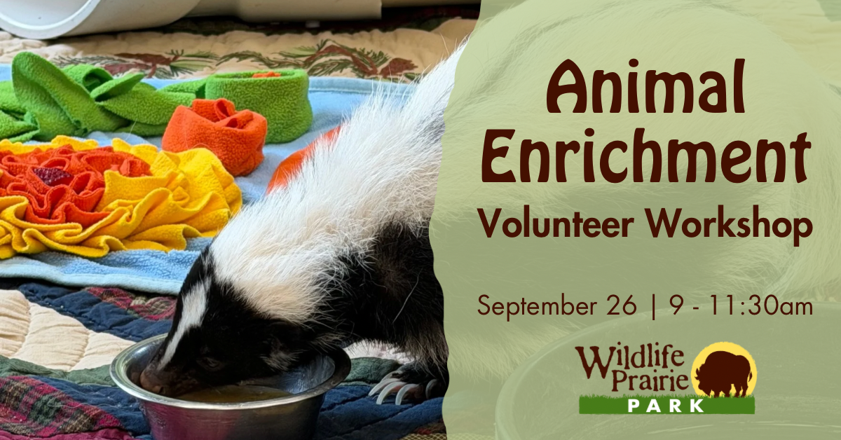 Volunteer WorkdayWorkshop