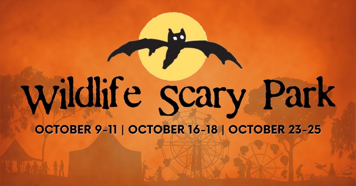 Wildlife Scary Park 2025  (2)