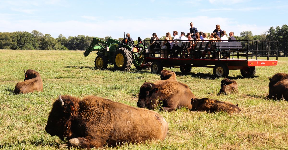 Adventure Trek at Wildlife Prairie Park