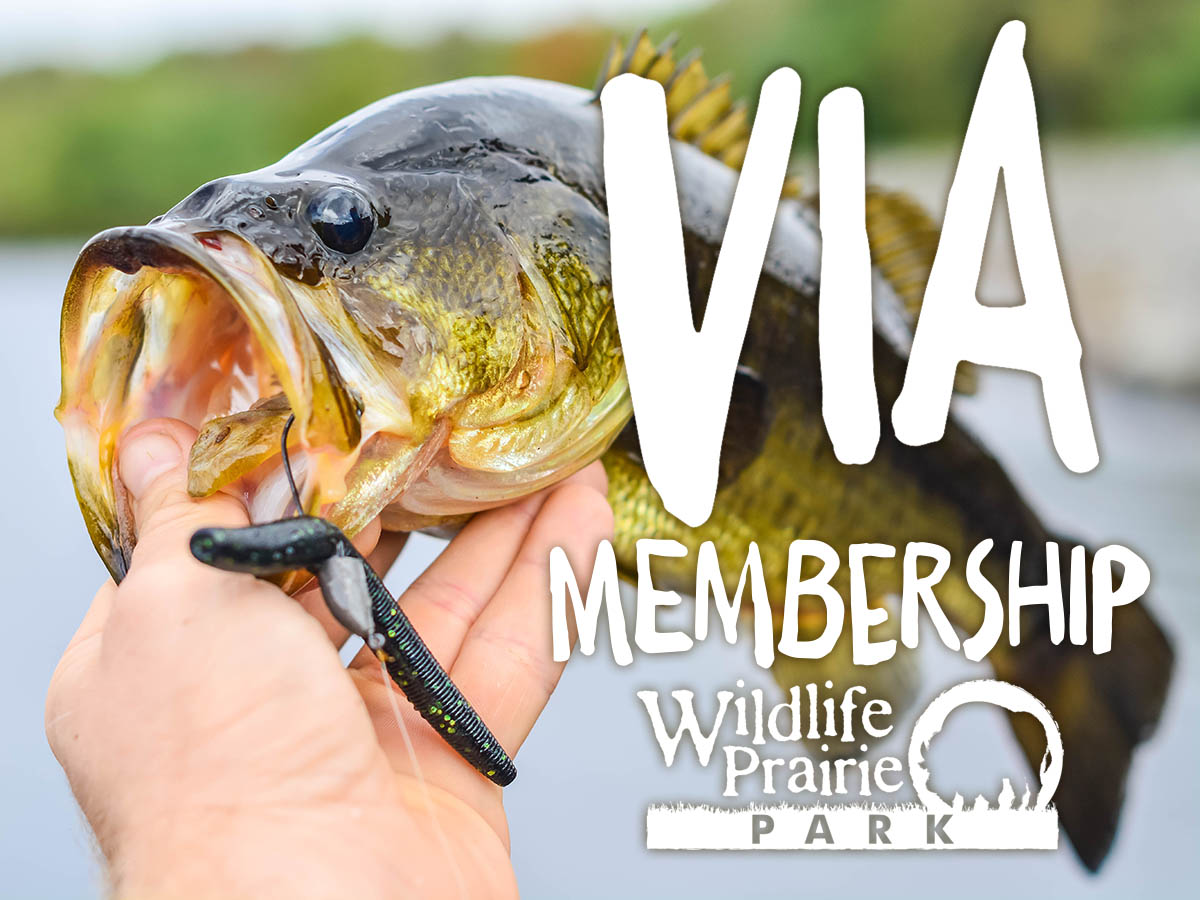 VIA Membership at Wildlife Prairie Park