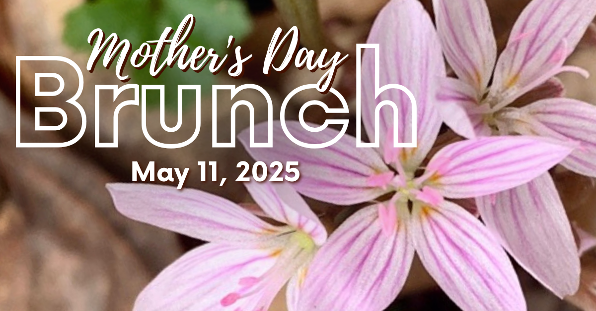 Mother's Day Brunch